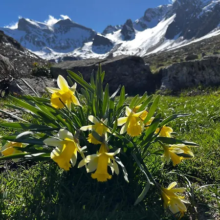 Apartament Piau Engaly, Plein Sud Avec Vue Sur Les Pistes A 50 M, Coeur De Station Aragnouet