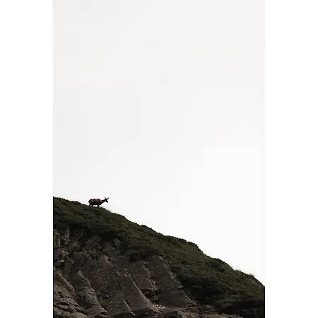 Apartament Piau Engaly, Plein Sud Avec Vue Sur Les Pistes A 50 M, Coeur De Station *