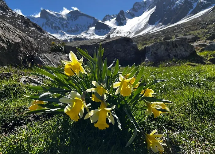 Apartment Piau Engaly, Plein Sud Avec Vue Sur Les Pistes A 50 M, Coeur De Station Aragnouet