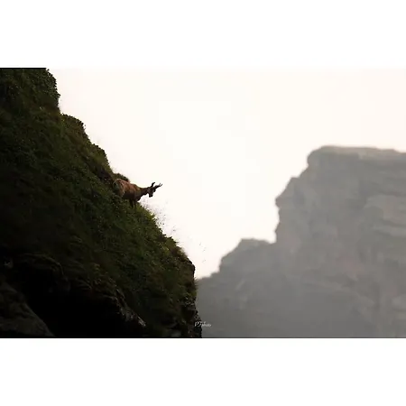 Piau Engaly, Plein Sud Avec Vue Sur Les Pistes A 50 M, Coeur De Station *