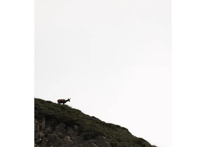 Apartment Piau Engaly, Plein Sud Avec Vue Sur Les Pistes A 50 M, Coeur De Station *