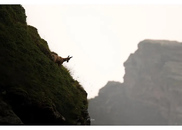 Piau Engaly, Plein Sud Avec Vue Sur Les Pistes A 50 M, Coeur De Station *