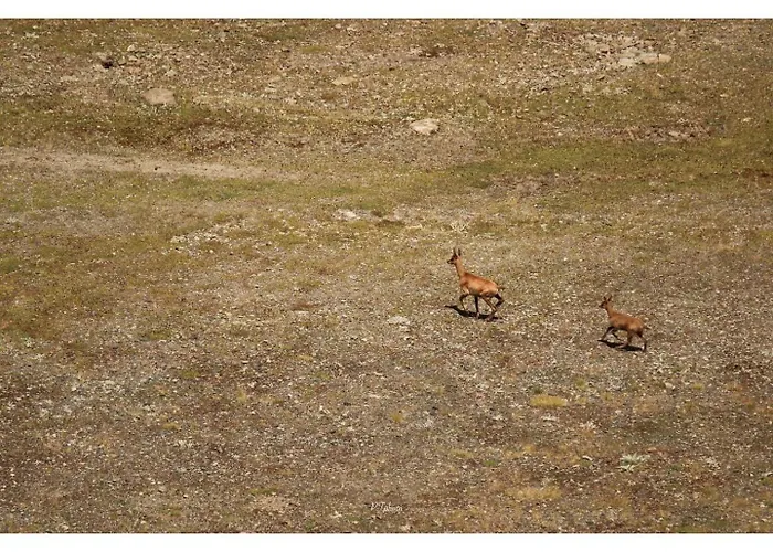 Apartment Piau Engaly, Plein Sud Avec Vue Sur Les Pistes A 50 M, Coeur De Station